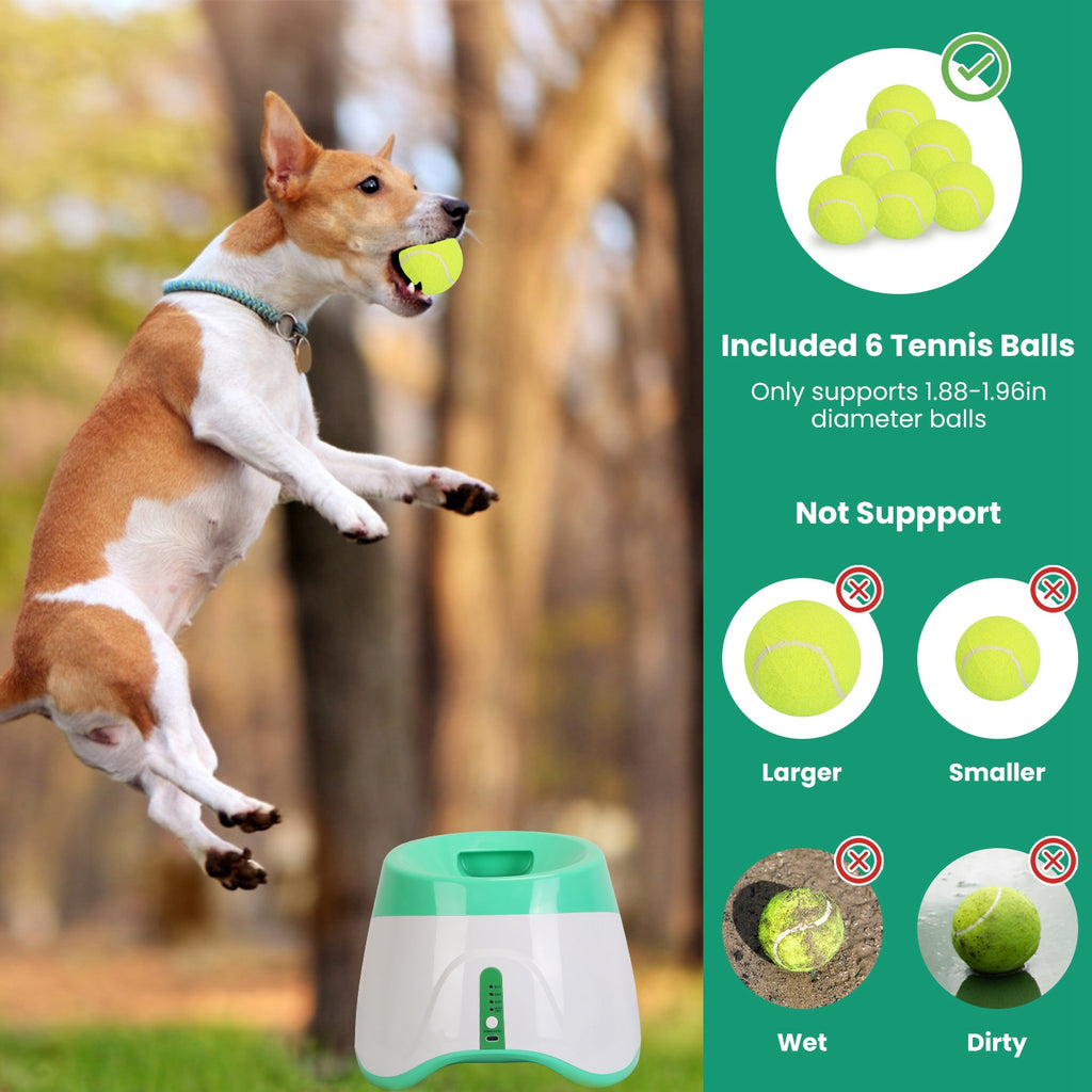 PawSupply - Automatic Ball Launcher