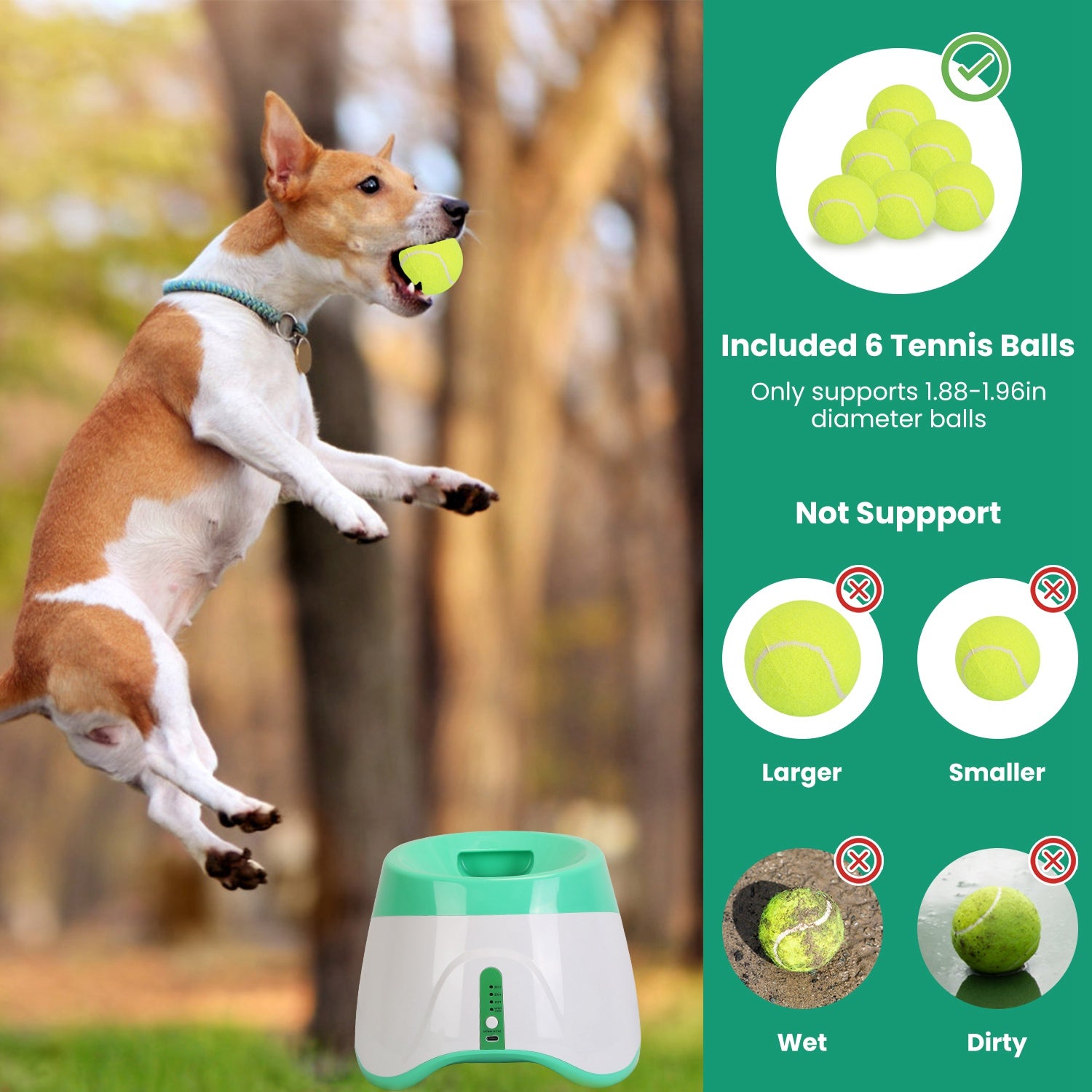 PawSupply - Automatic Ball Launcher