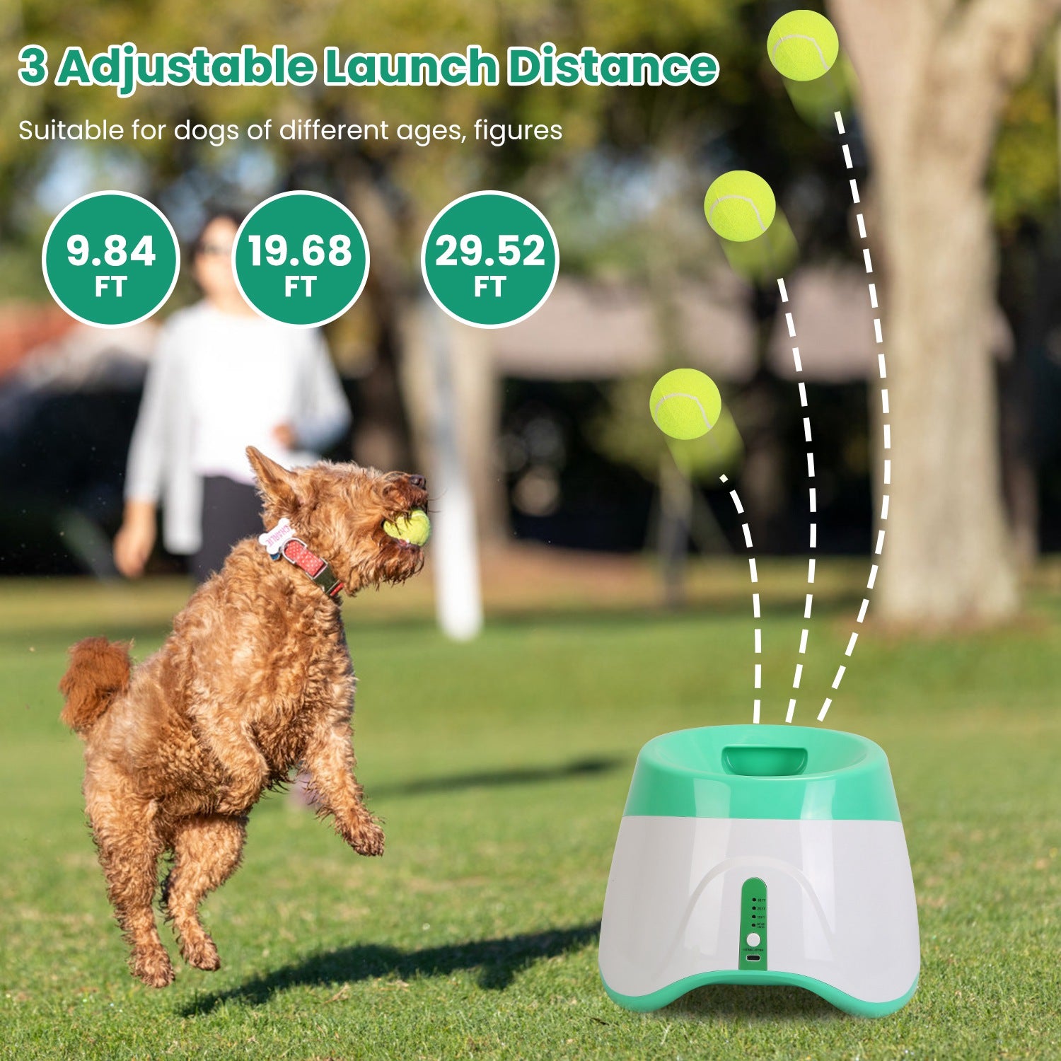 PawSupply - Automatic Ball Launcher