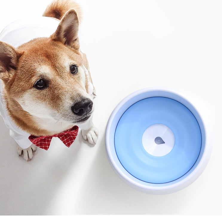 PawSupply - Pet Drinking Bowl