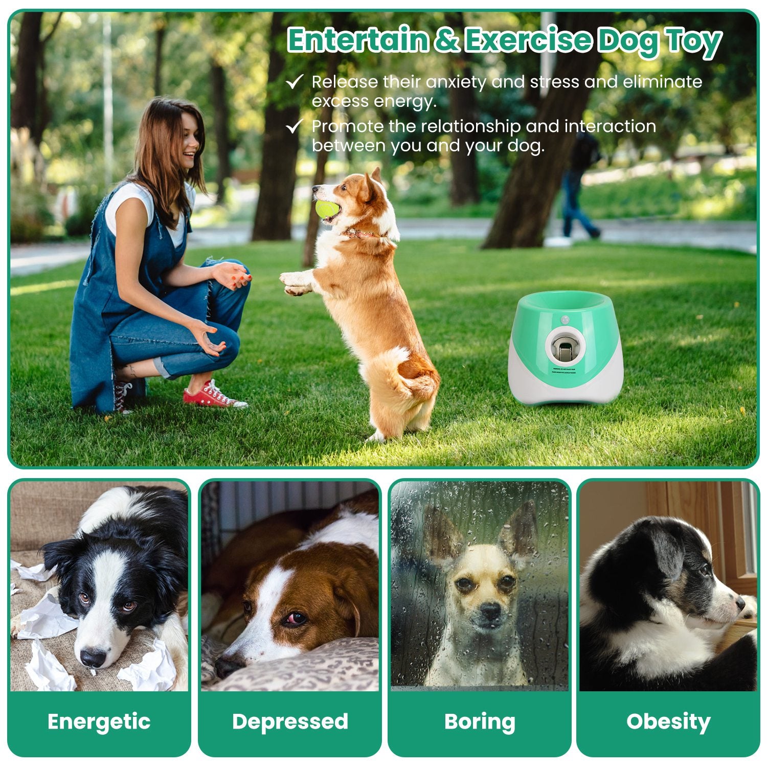 PawSupply - Automatic Ball Launcher