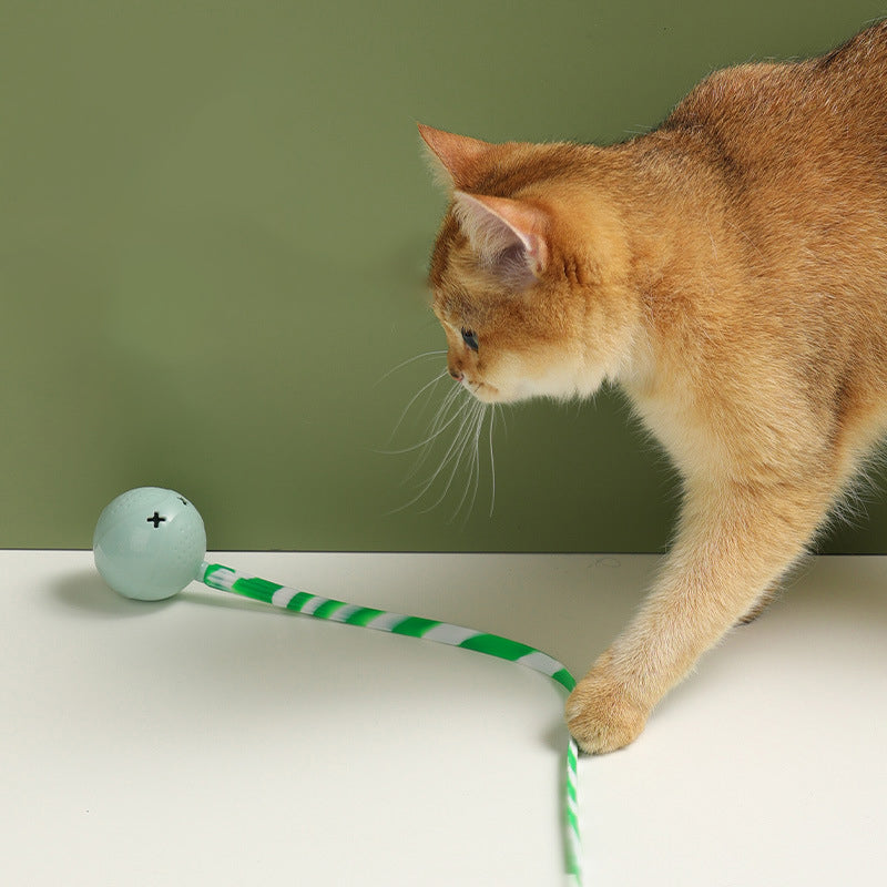 PawSupply - Interactive Pet Ball
